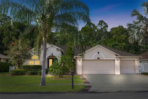 16132 Ivy Lake Drive, Odessa, FL, 33556