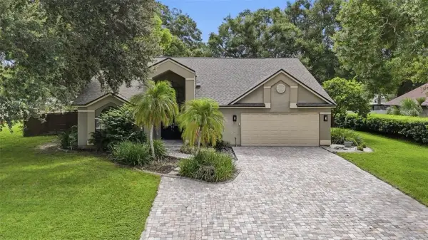 2704 Buckhorn Oaks Drive, Valrico, FL, 33594
