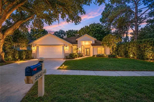 3530 Fox Squirrel Lane, Valrico, FL, 33596