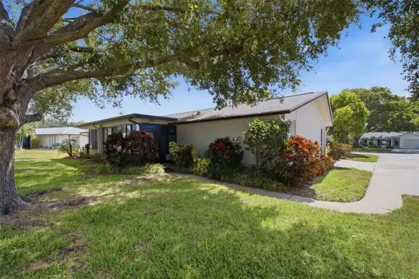 1335 Queen Anne Drive, Unit C, Palm Harbor, FL, 34684