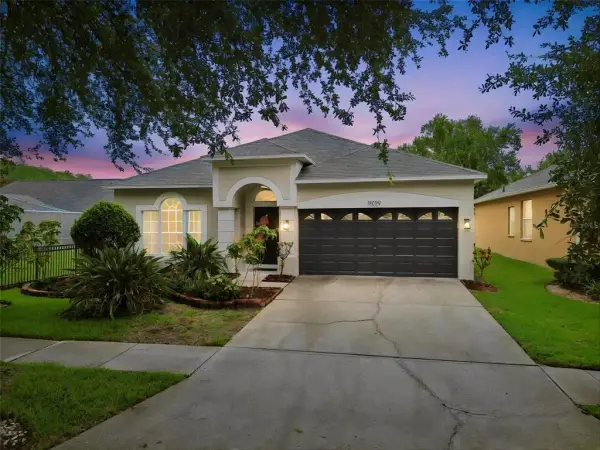 19029 Chemille Drive, Lutz, FL, 33558