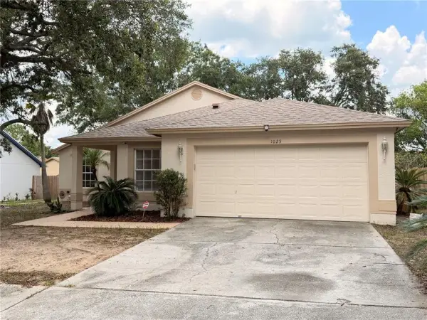 1025 Malletwood Drive, Brandon, FL, 33510
