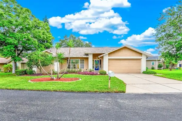 10529 Ayr Court, New Port Richey, FL, 34654