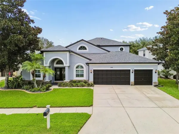 21500 Cormorant Cove Drive, Land O Lakes, FL, 34637