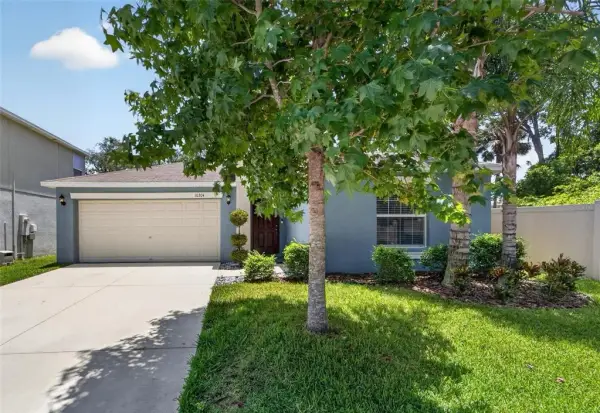 10304 Strawberry Tetra Drive, Riverview, FL, 33578