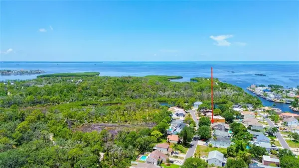 14 Baywood Drive, Palm Harbor, FL, 34683