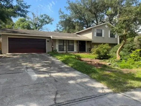 6624 Baybrooks Circle, Tampa, FL, 33617
