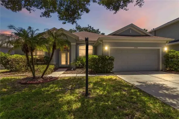 12526 Burgess Hill Drive, Riverview, FL, 33579
