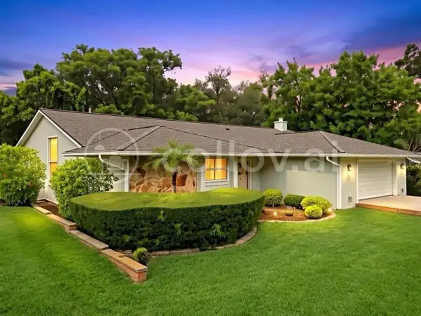 1071 Persimmon Drive, Palm Harbor, FL, 34683