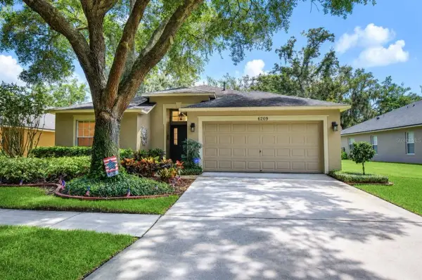 6209 Gannetdale Drive, Lithia, FL, 33547