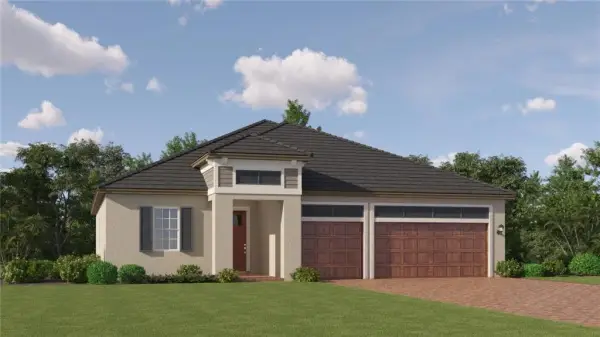 9137 Minnow Ray Drive, Land O Lakes, FL, 34638