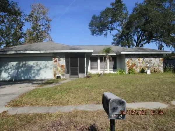 17849 Morninghigh Drive, Lutz, FL, 33549