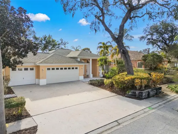 958 Ridgewood Terrace, Tarpon Springs, FL, 34689