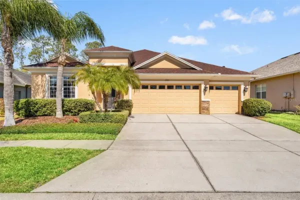 3303 Stonegate Falls Drive, Land O Lakes, FL, 34638