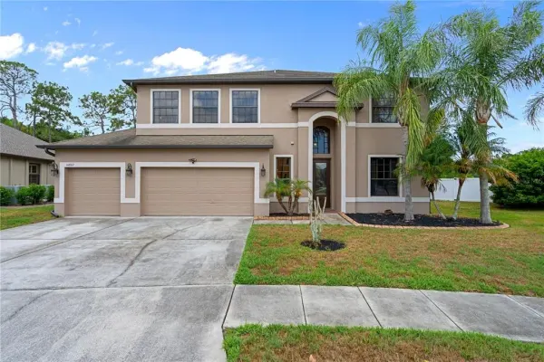 14807 Princewood Lane, Land O Lakes, FL, 34638