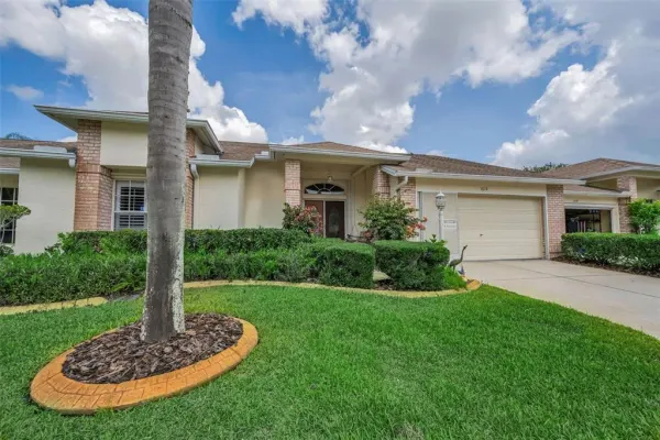 1015 Flora Vista Street, Trinity, FL, 34655
