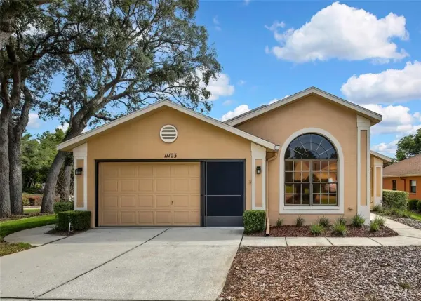 11103 CHERRYWOOD COURT, SPRING HILL, FL, 34609