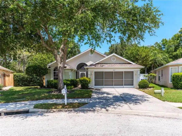 7207 Sharpsburg Boulevard, New Port Richey, FL, 34653