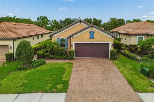 11503 Callisia Drive, Odessa, FL, 33556