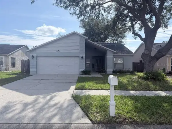 13436 Silvercreek Drive, Riverview, FL, 33579