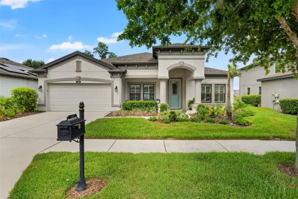 8320 Bluevine Sky Drive, Land O Lakes, FL, 34637