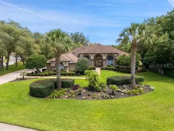 10470 Ramble Ridge Court, Weeki Wachee, FL, 34613