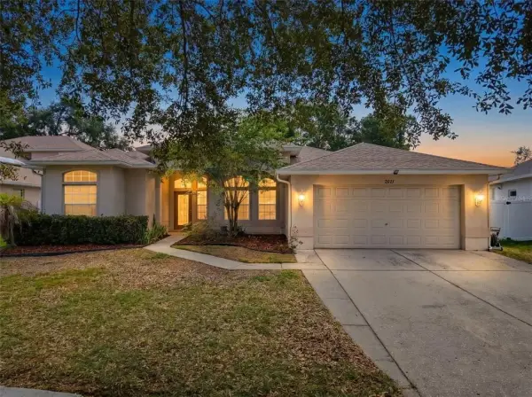 2021 Rutherford Drive, Dover, FL, 33527