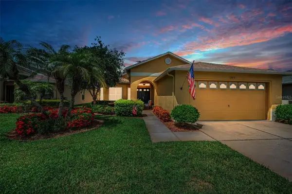 1323 Winding Willow Drive, Trinity, FL, 34655
