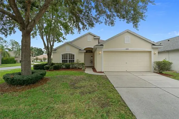 23836 Hastings Way, Land O Lakes, FL, 34639