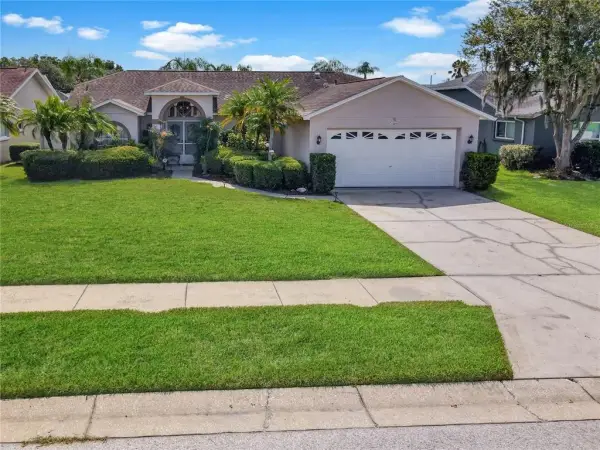 4300 Onorio Street, New Port Richey, FL, 34653