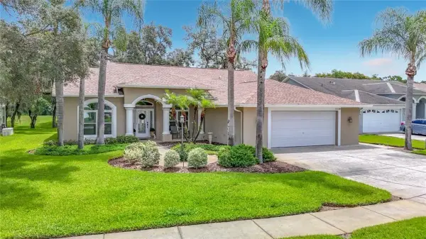 13540 Plantation Lake Circle, Hudson, FL, 34669