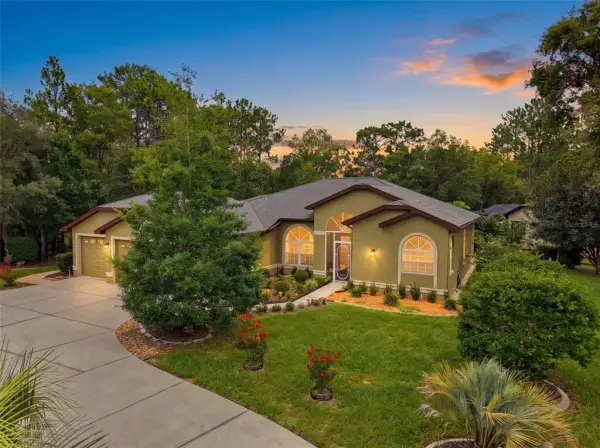1 Plumbago Drive, Homosassa, FL, 34446