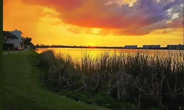 118 Lake Emerald Drive 403, Oakland Park, FL 33309