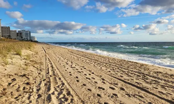 5200 N Ocean Boulevard 615, Lauderdale-by-the-sea, FL 33308