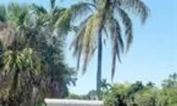 4025 N Nob Hill Road 409, Sunrise, FL 33351