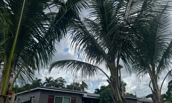 3340 SW 20th Court, Fort Lauderdale, FL 33312