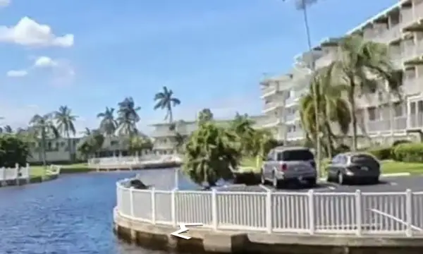 1536 SE 15th Court 210, Deerfield Beach, FL 33441