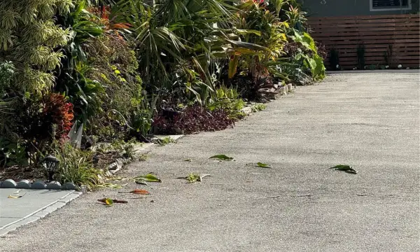 2452 Taylor Street 204, Hollywood, FL 33020