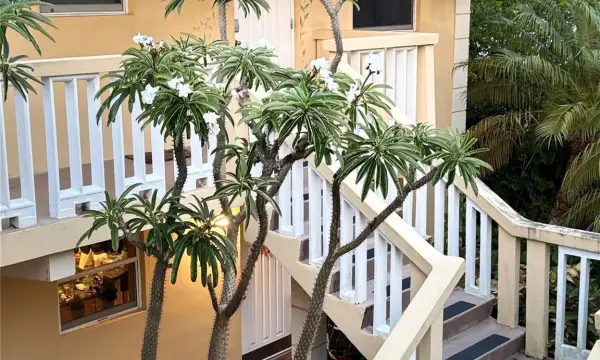 811 NE 14th Place 6, Fort Lauderdale, FL 33304