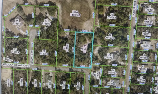 0 Mexican Canary Avenue, Brooksville, FL, 34614