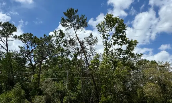 . Waterfall Drive, Spring Hill, FL, 34608