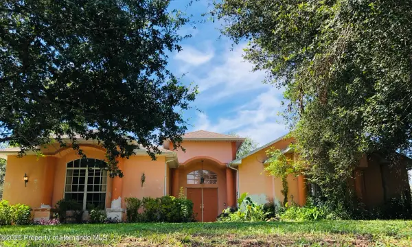 3155 Aldoro Avenue, Spring Hill, FL, 34609