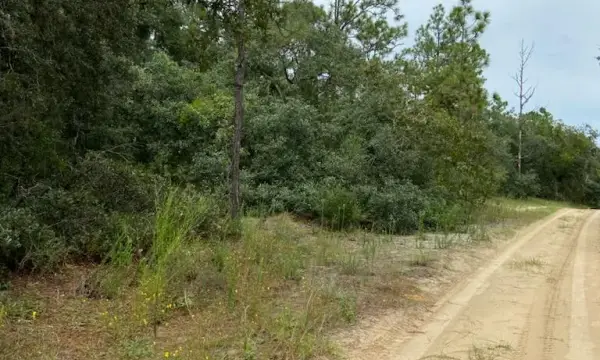 318 S Crestview Avenue, Inverness, FL, 34452