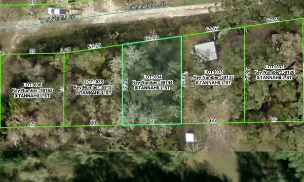0 Tannahill Street, Dade City, FL, 33523