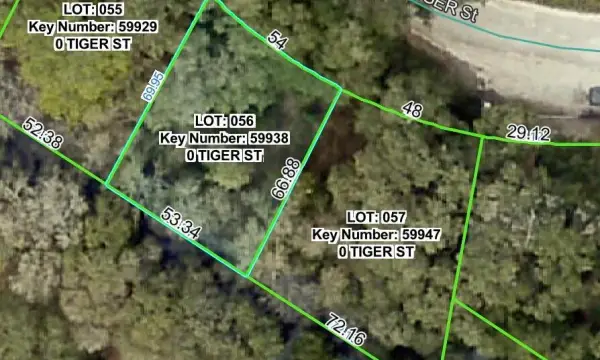0 Tiger Street, Dade City, FL, 33523