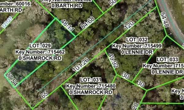 0 Shamrock, Dade City, FL, 33523