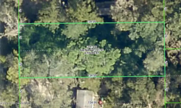 0 Young Street, Brooksville, FL, 34601
