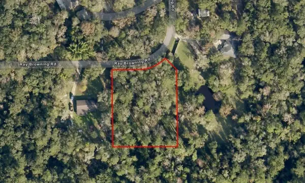0 Ray Browning Road, Brooksville, FL, 34601