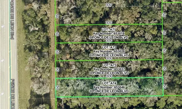 0 Ponce De Leon, Brooksville, FL, 34601