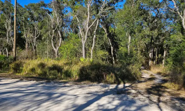 0 Berryhill Drive, Webster, FL, 33597